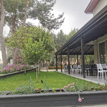 Hotel Pelikan Дивяка Екстериор снимка